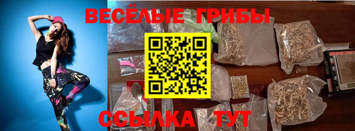 Галлюциногенные грибы GOLDEN TEACHER  Вход с VPN  Среднеуральск 