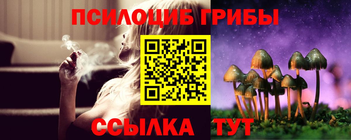 Псилоцибиновые грибы Magic Shrooms Среднеуральск